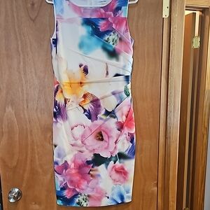 Calvin Klein Floral Multicolor Dress